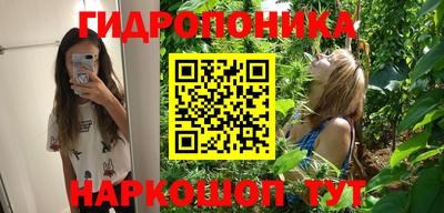 сатива Гагарин