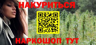 сатива Гатчина