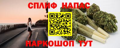 сатива Гагарин