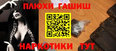 сатива Гатчина
