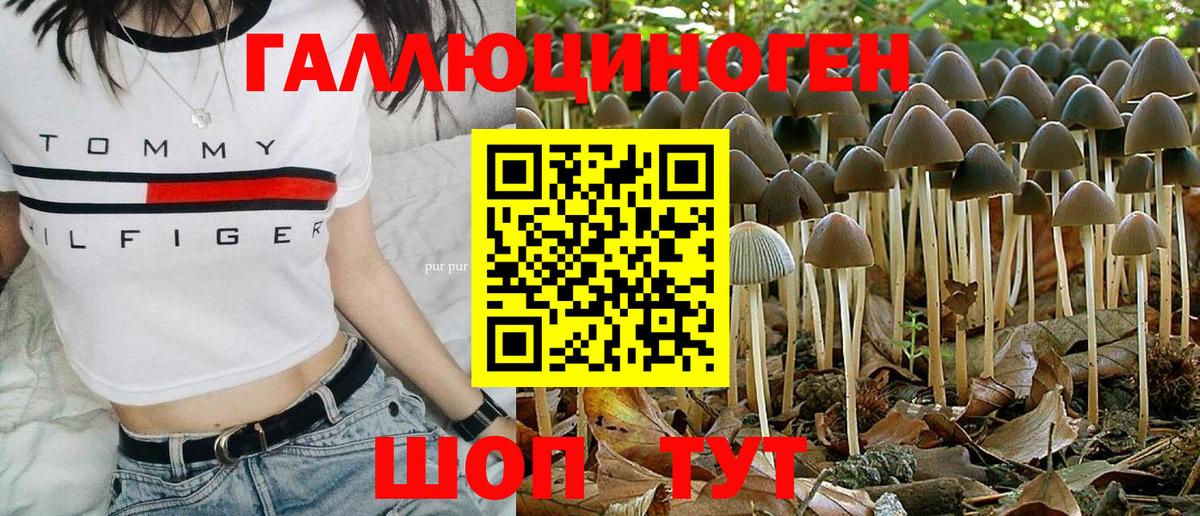 Галлюциногенные грибы MAGIC MUSHROOMS  Вход с VPN  Нижнекамск 