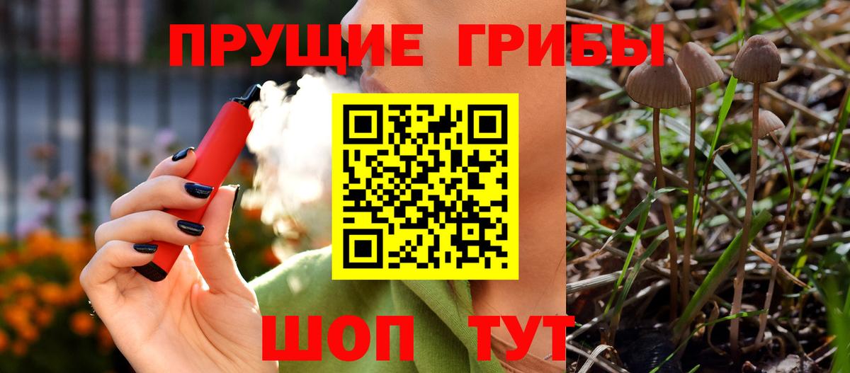 Псилоцибиновые грибы мицелий Нижнекамск